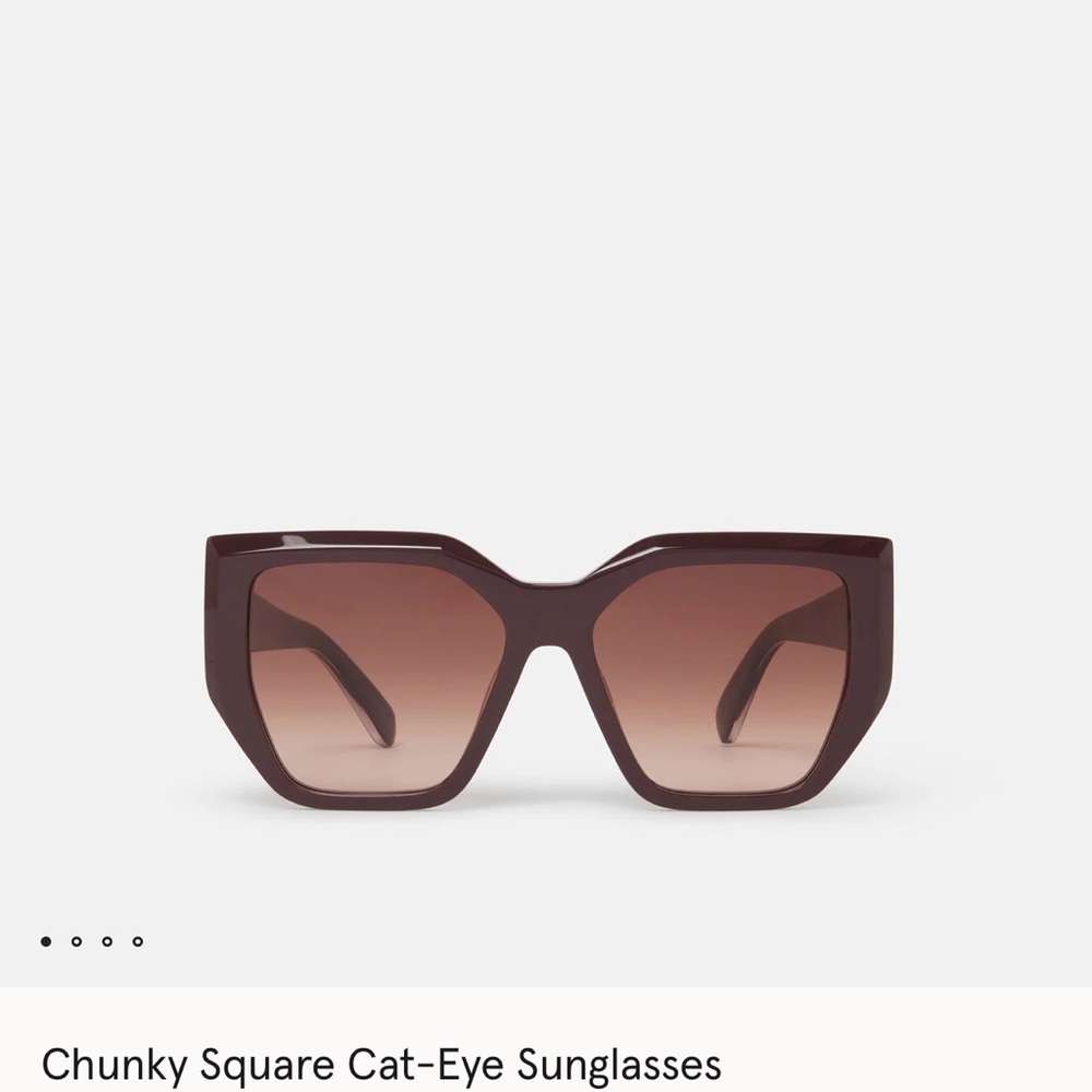Stella Mccartney Oversized Cat Eye Sunglasses NWT